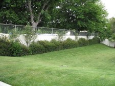 Enlarge photo 31