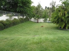 Enlarge photo 32
