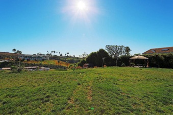 Enlarge photo 126