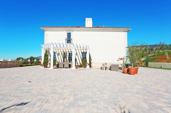 Enlarge photo 133