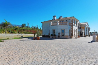 Enlarge photo 146