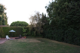 Enlarge photo 20