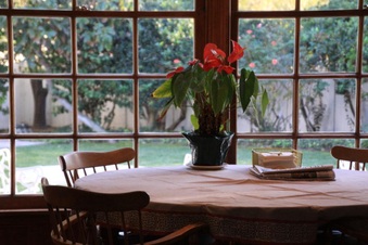 Enlarge photo 6