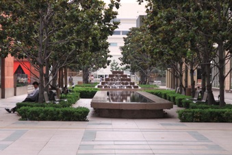 Enlarge photo 28