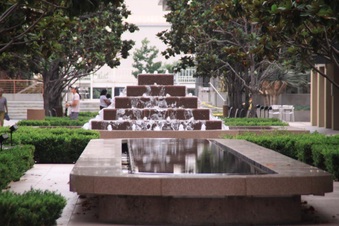 Enlarge photo 29