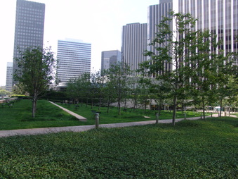 Enlarge photo 2