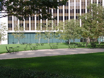 Enlarge photo 31