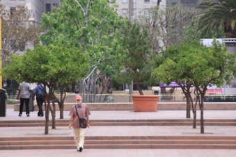 Enlarge photo 24