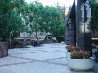 Enlarge photo 44