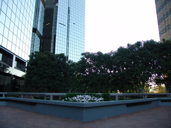 Enlarge photo 63