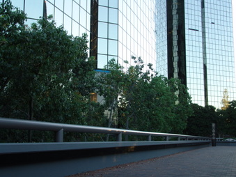 Enlarge photo 70