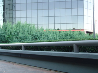 Enlarge photo 71