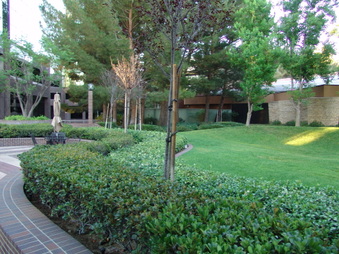 Enlarge photo 22