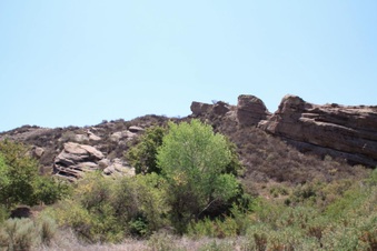 Enlarge photo 44