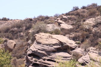 Enlarge photo 43