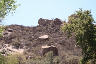 Enlarge photo 42