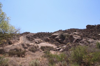 Enlarge photo 41