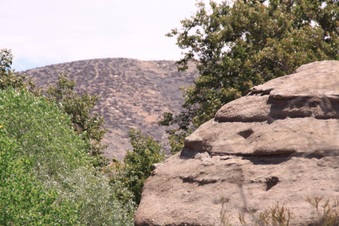 Enlarge photo 38