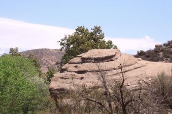 Enlarge photo 37