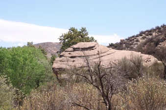 Enlarge photo 36