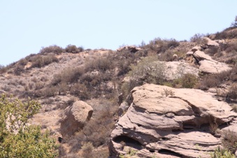 Enlarge photo 20