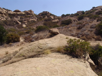 Enlarge photo 24