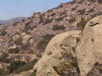 Enlarge photo 27