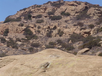 Enlarge photo 28