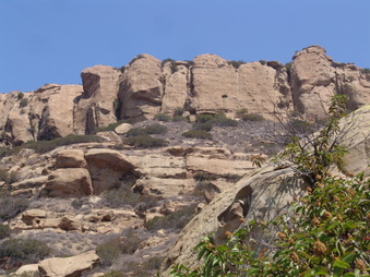 Enlarge photo 31