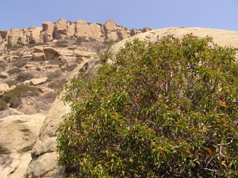 Enlarge photo 32
