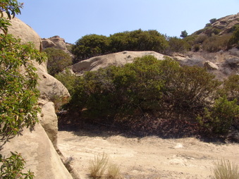 Enlarge photo 33
