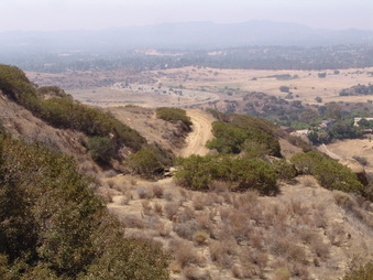 Enlarge photo 35