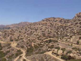 Enlarge photo 39