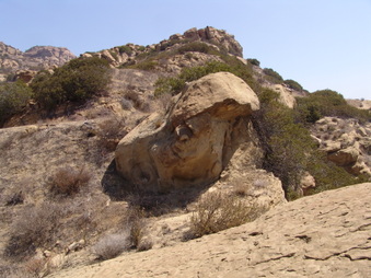 Enlarge photo 41