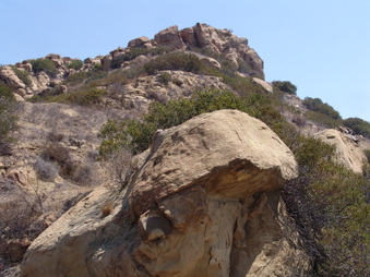 Enlarge photo 42