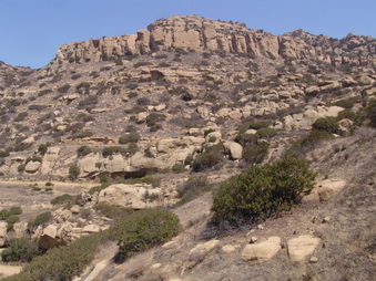 Enlarge photo 43