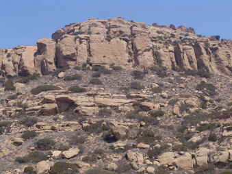 Enlarge photo 44