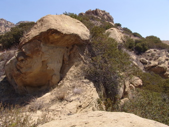 Enlarge photo 46