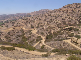 Enlarge photo 52