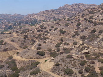 Enlarge photo 53