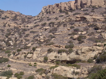 Enlarge photo 54