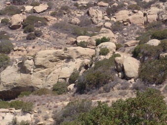 Enlarge photo 55
