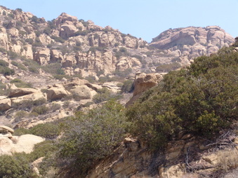 Enlarge photo 56