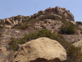 Enlarge photo 57