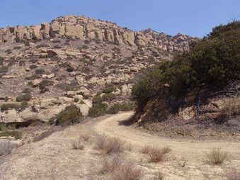 Enlarge photo 59