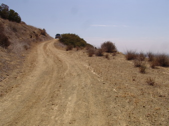 Enlarge photo 60