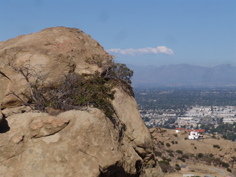 Enlarge photo 6