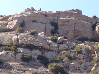 Enlarge photo 12
