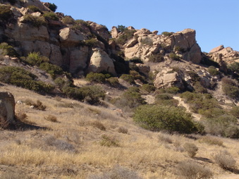Enlarge photo 13