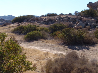 Enlarge photo 20